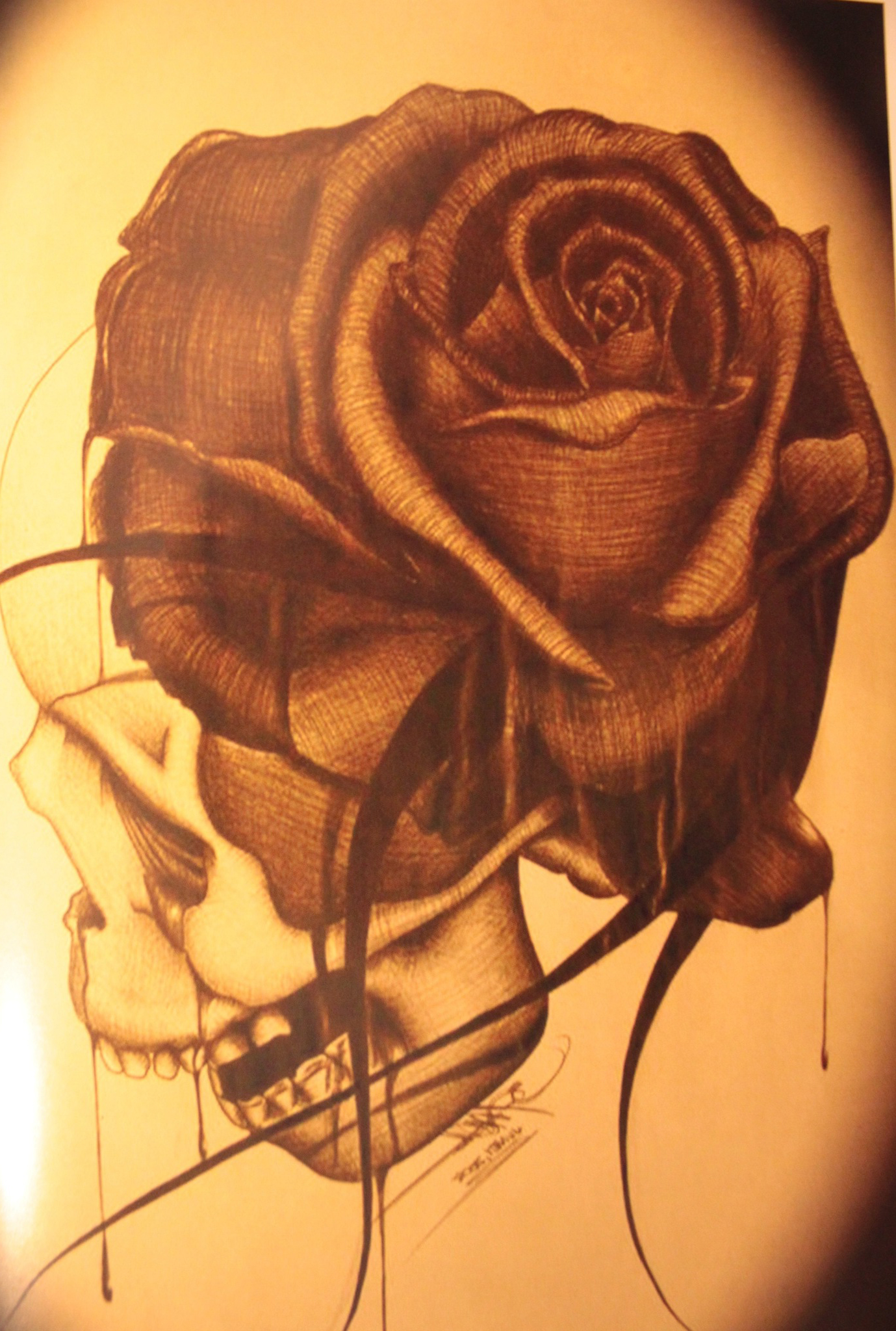 Scull illustration rose drawing tattoo