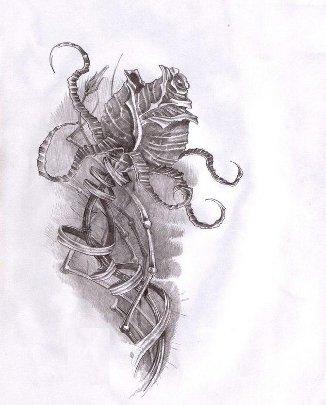 Skeleton Graphic rose drawing tattoo