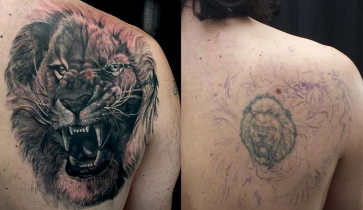 Tattoo uploaded by Lunchbox Tattoo  Lion and flowers  Tattoodo