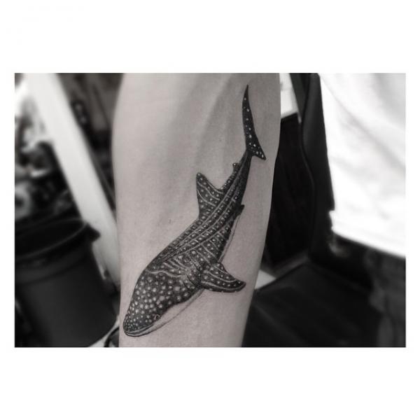 White Dots Whale Realistic tattoo by Dr Woo