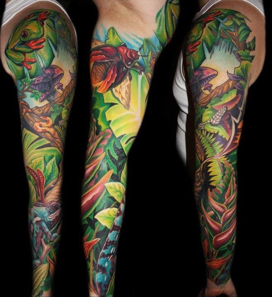 Lantern Bug and Butterfly tattoo sleeve  Best Tattoo Ideas Gallery