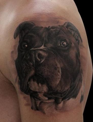 Amazing Realistic Dog tattoo by Piranha Tattoo Supplies
