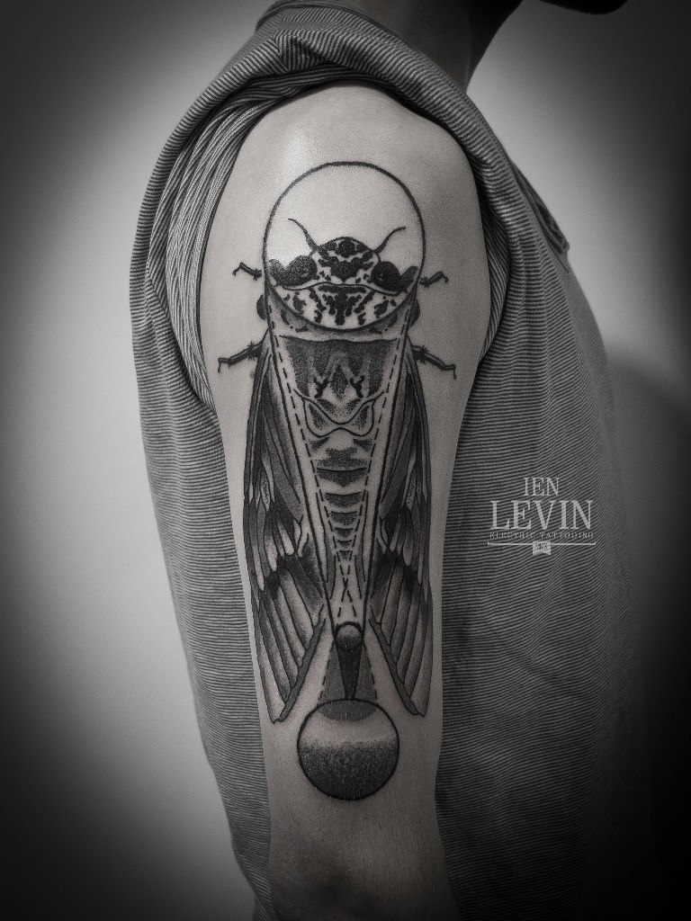 Enlarge Moth Fly Dotwork tattoo by Ien Levin