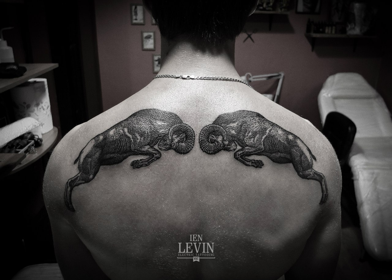 Fighting Rams Dotwork tattoo by Ien Levin on Back