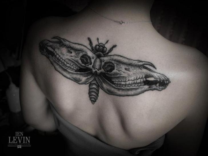 Scull Wings Fly Dotwork tattoo by Ien Levin