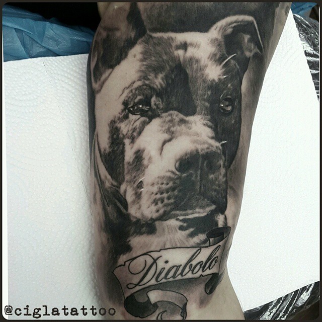 Diabolo Dog Realistic tattoo