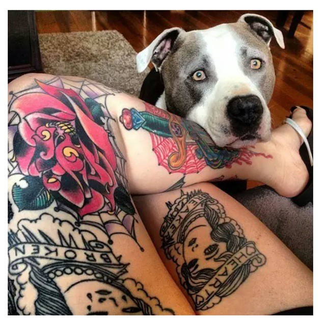 Pin by Pedro Andrade on Tatuagem  Dog memorial tattoos Traditional tattoo  dog Traditional style tattoo