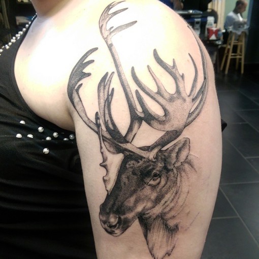 Shoulder Graphic Moose Tattoo - Best Tattoo Ideas Gallery