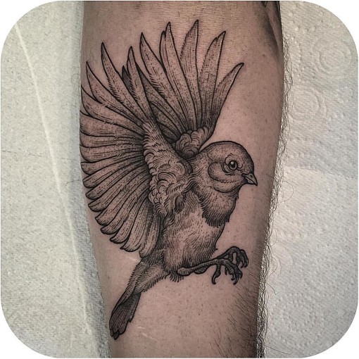 Arm Graphic Sparrow Tattoo - Best Tattoo Ideas Gallery