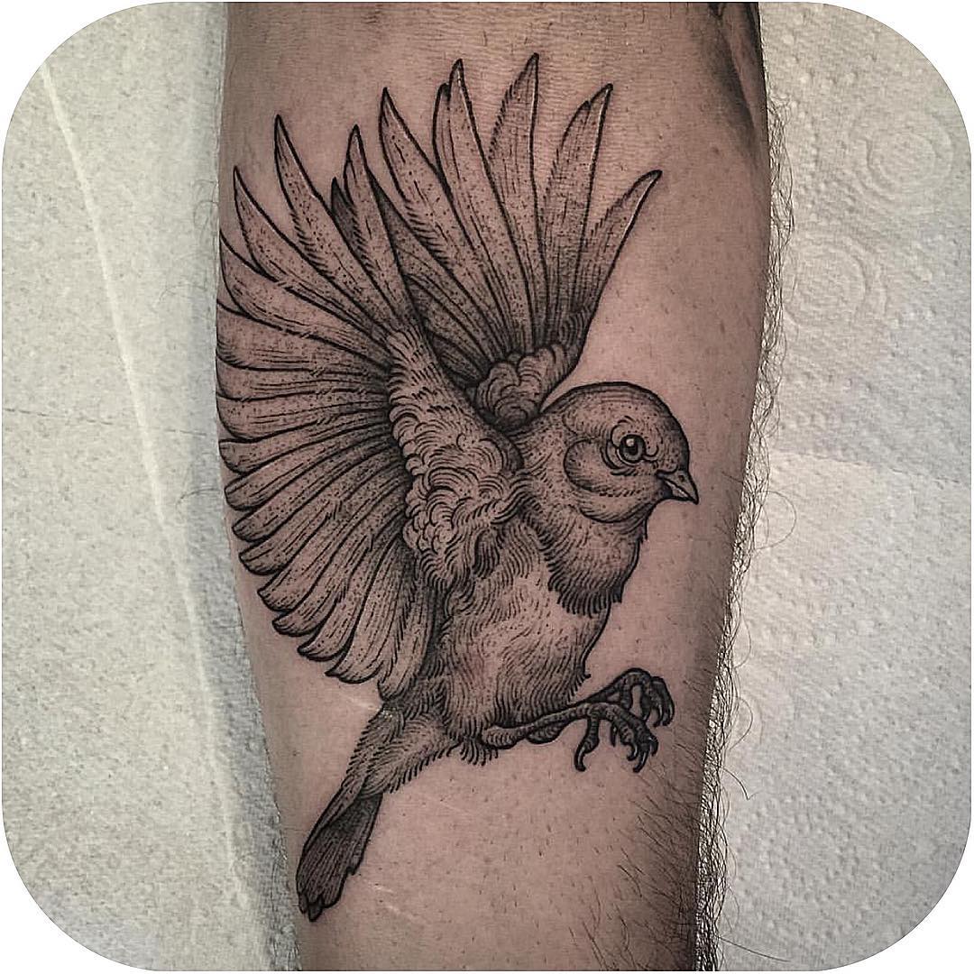 Arm Graphic Sparrow Tattoo