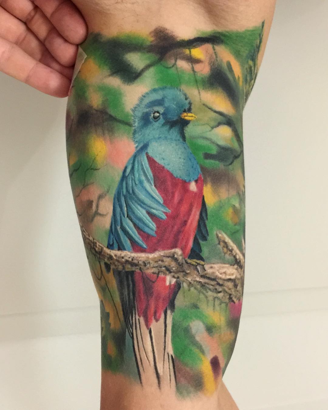 Realistic Bird Tattoo