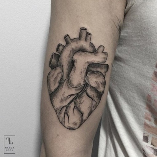 Anatomical Heart Tattoo - Best Tattoo Ideas Gallery