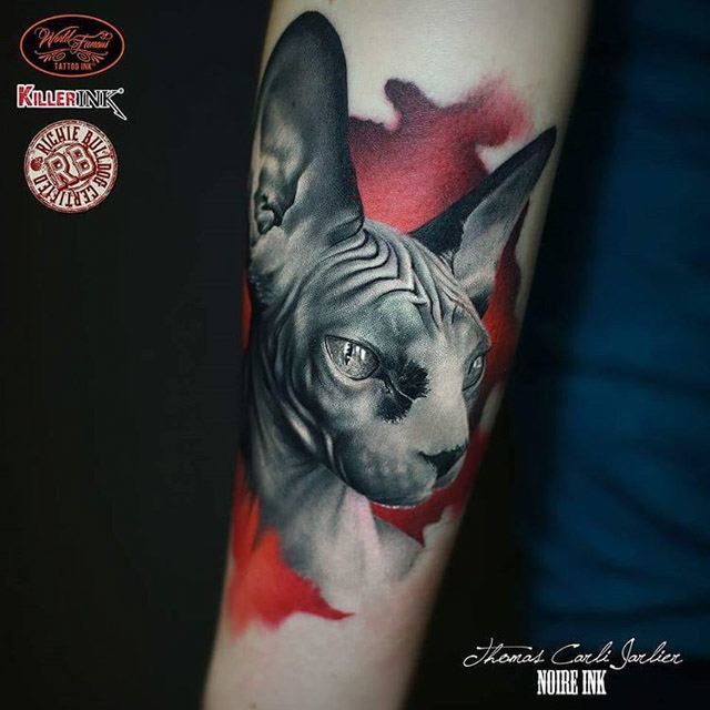 arm tattoo cat sphynx