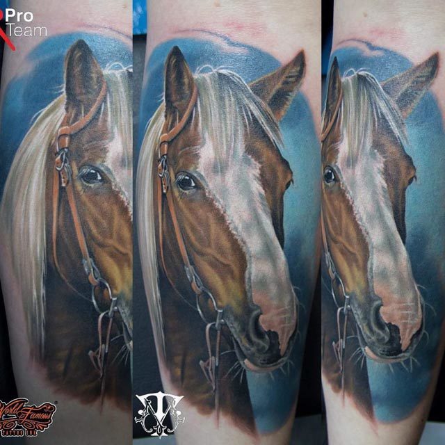 realistic horse tattoo