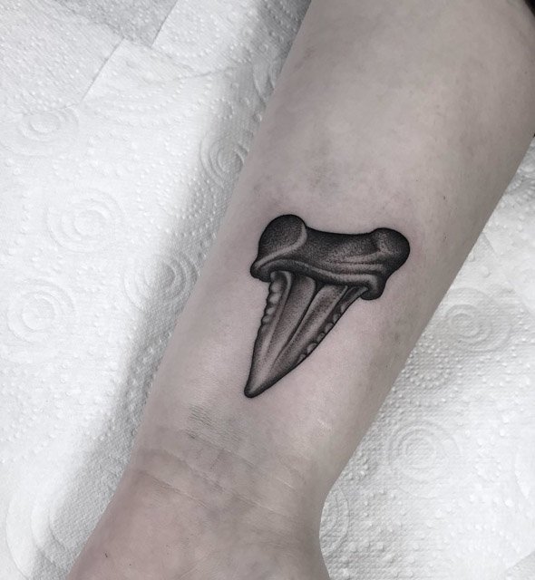 dotwork shark tooth tattoo