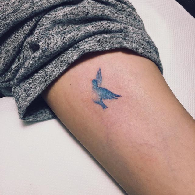 Small tattoo blue bird