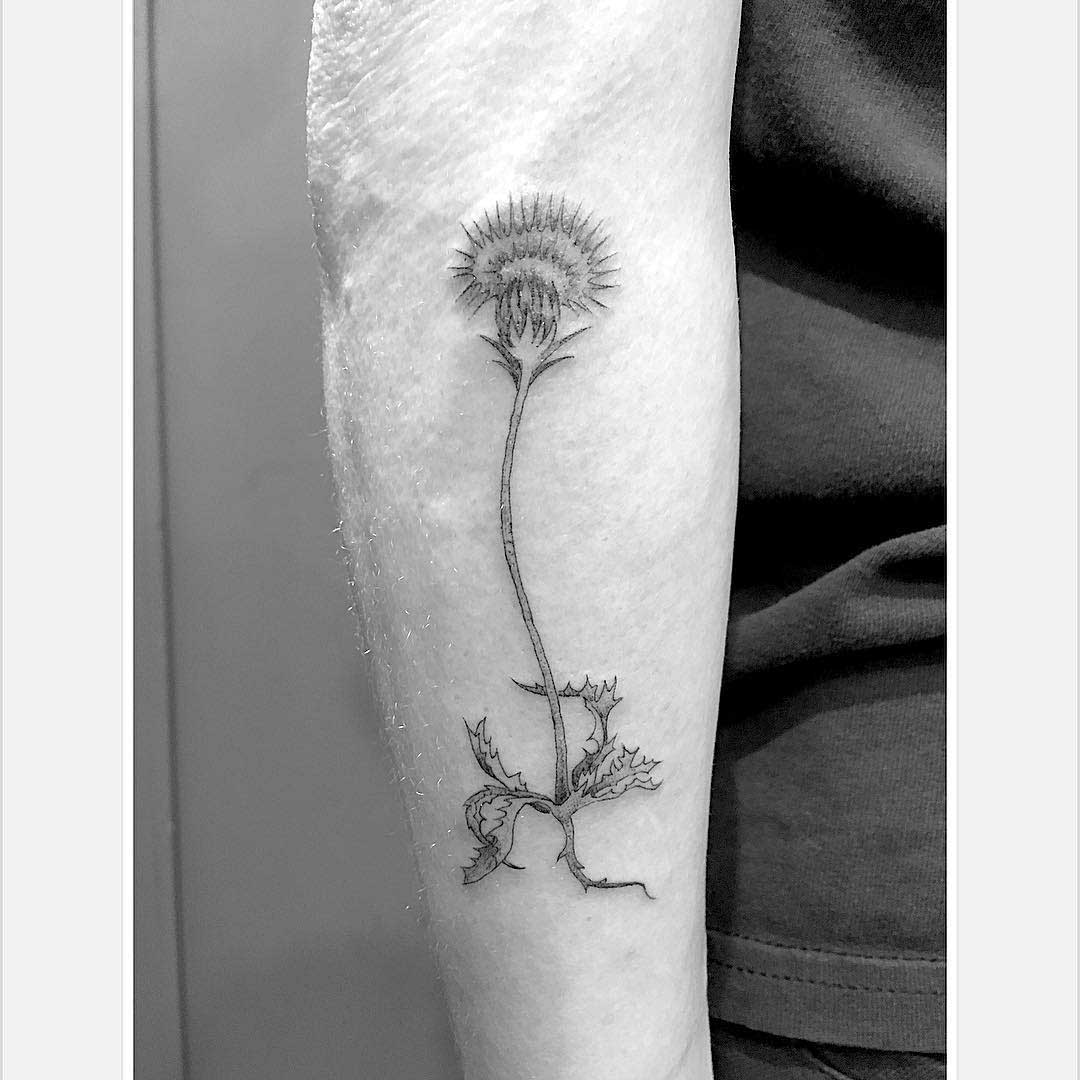 arm tattoo Scottish thistle