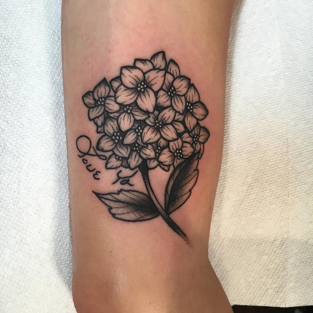 Hydrangea Tattoo - Best Tattoo Ideas Gallery