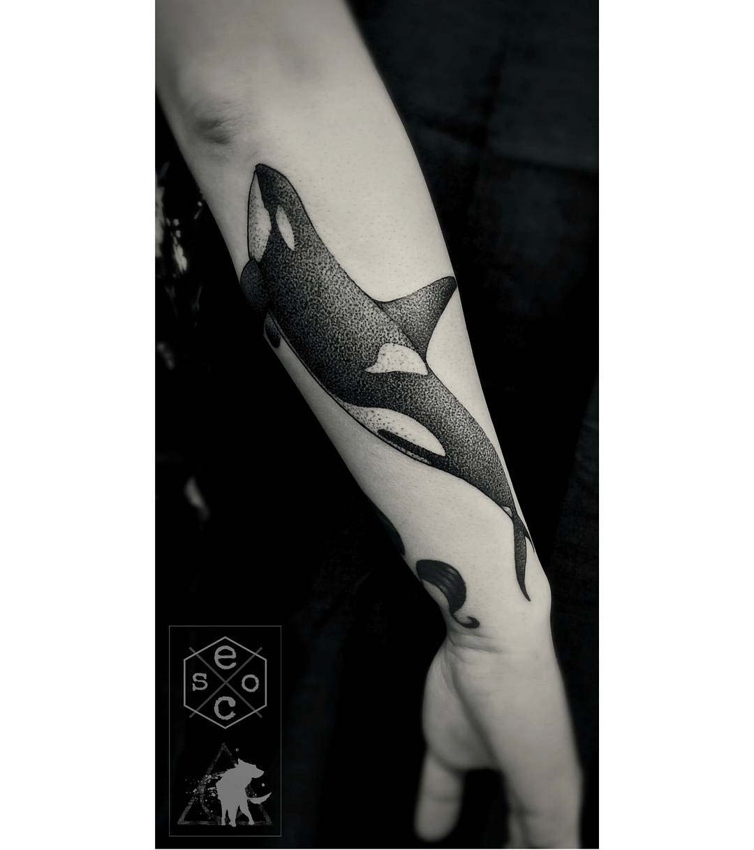 Orca whale with Alaskas Prince William Sound scenery done by Zack  Carpenter Snake Byrd Ink in St Petersburg FL  rtattoos