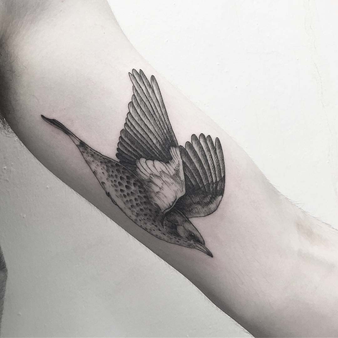 arm tattoo flying bird