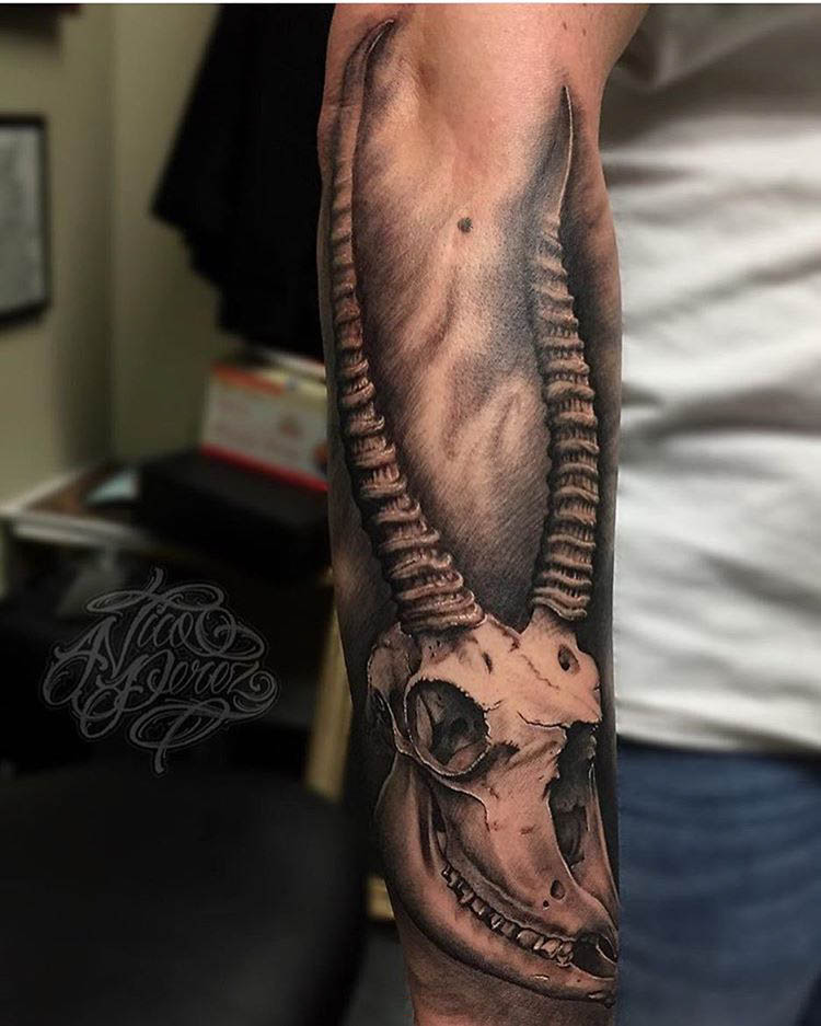arm tattoo skull of goat with long horns