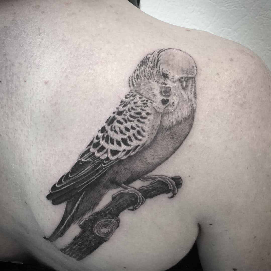 Parrot tattoo black and grey