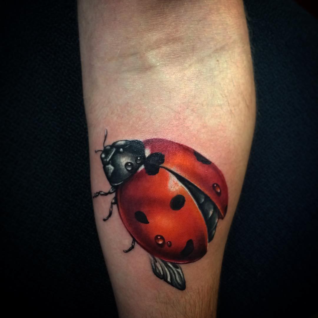 Cool Ladybug Tattoos - Best Tattoo Ideas Gallery