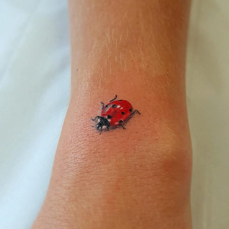 Cool Ladybug Tattoos | Best Tattoo Ideas Gallery