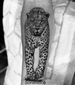 Cheetah Tattoo Meaning - Best Tattoo Ideas Gallery