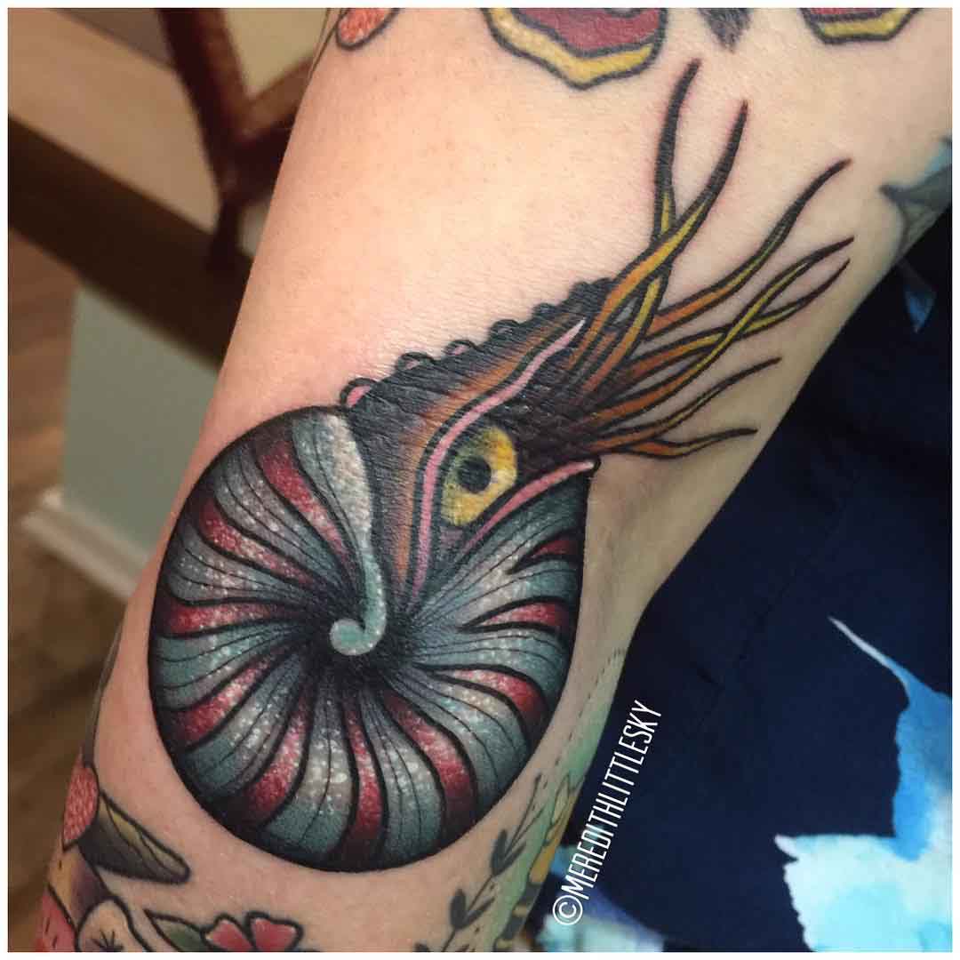shell tattoo nautilus