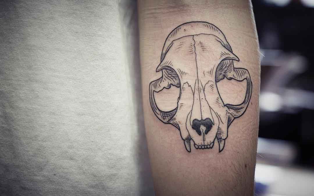 cat skull tattoo on arm