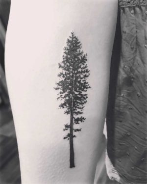 Pine Tree Tattoo | Best Tattoo Ideas Gallery