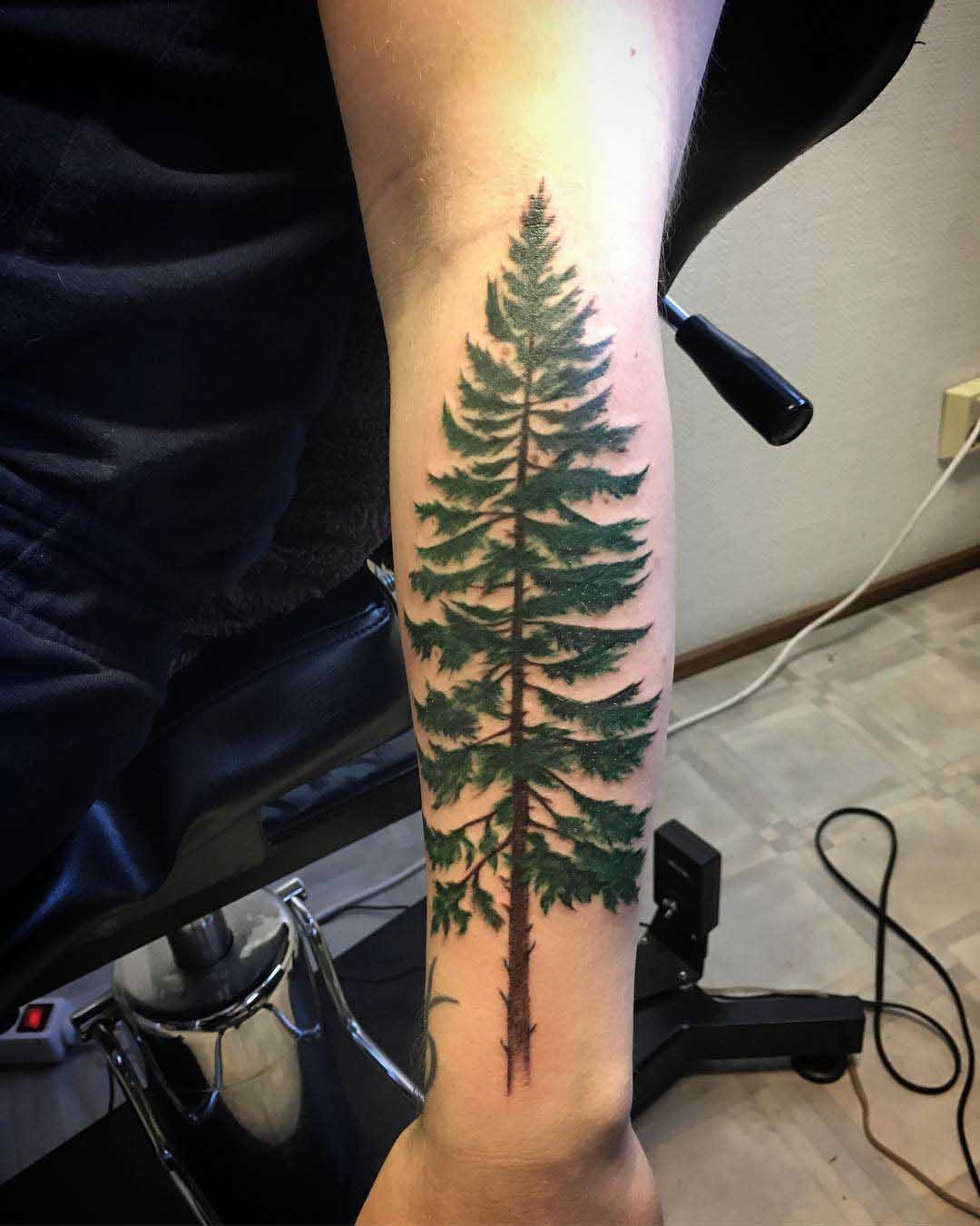 Pine Tree Tattoo - Best Tattoo Ideas Gallery