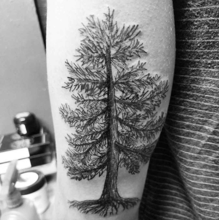 Pine Tree Tattoo | Best Tattoo Ideas Gallery