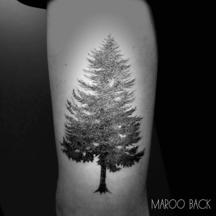 Pine Tree Tattoo | Best Tattoo Ideas Gallery