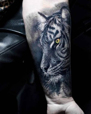 Tiger Tattoo on Arm - Best Tattoo Ideas Gallery