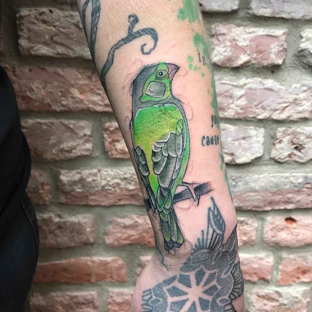 coll green parrot tattoo