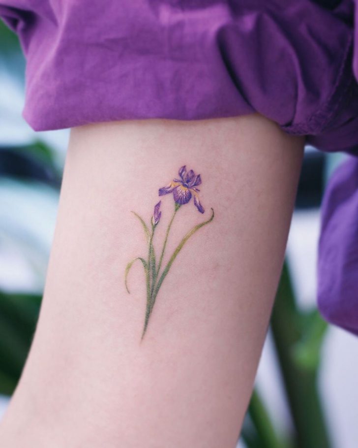 Iris tattoo  Visions Tattoo and Piercing